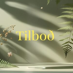 Tilboð