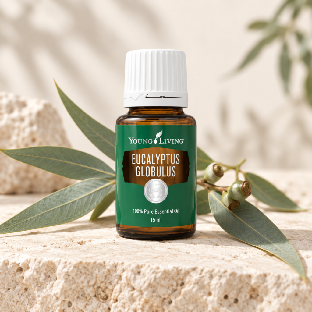 Eucalyptus Globulus 15 ml