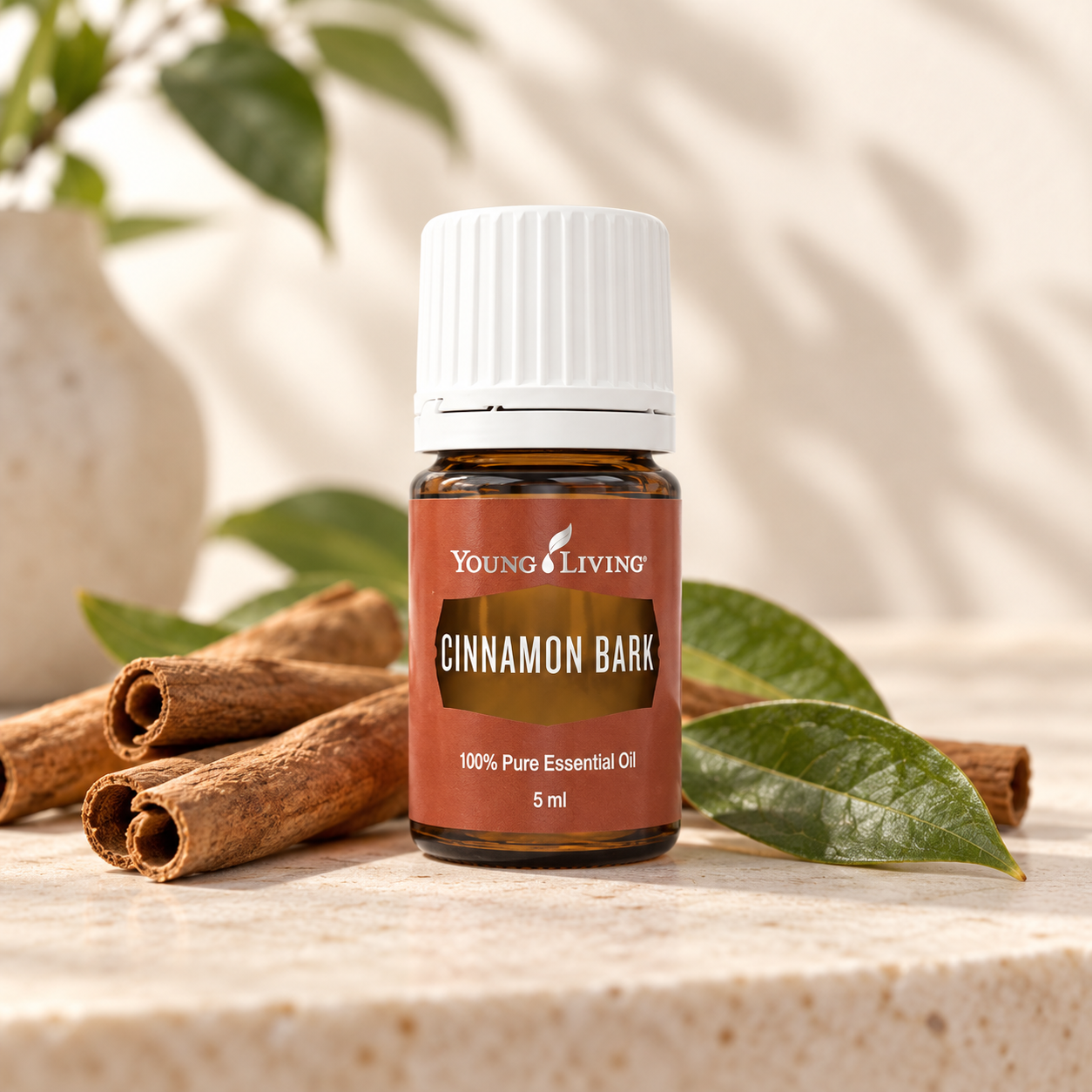 Cinnamon Bark, 5 Ml