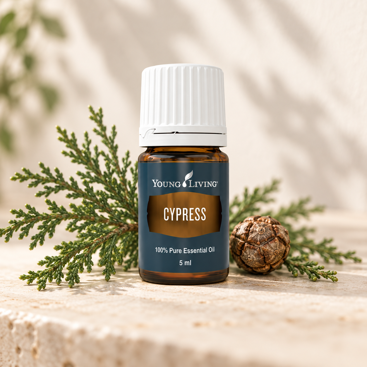 Cypress, 5 Ml