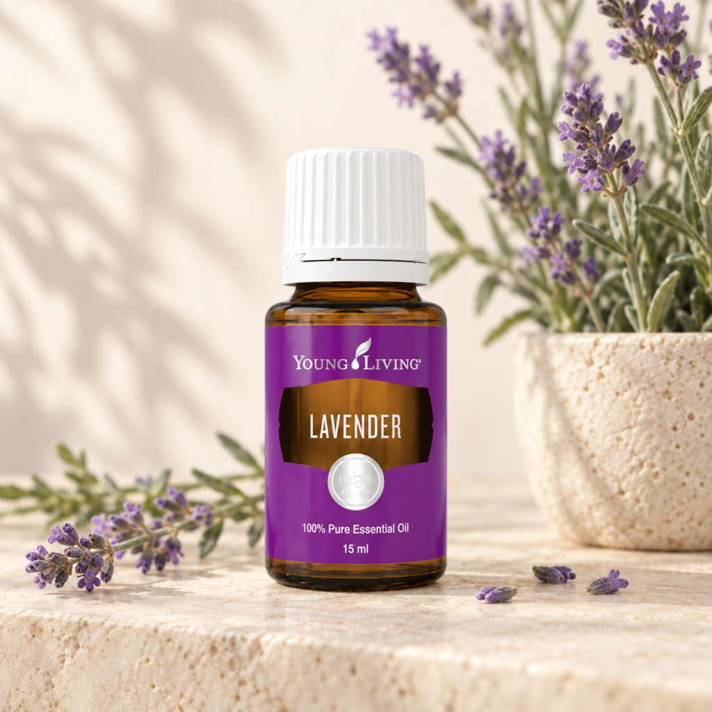 Lavendel